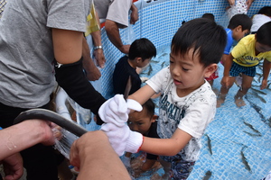 ウナギを捕まえている写真