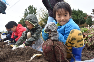 さつまいもを持つ園児の写真