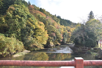 橋から見た紅葉の写真