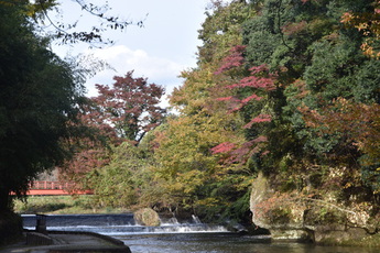 川と紅葉の写真