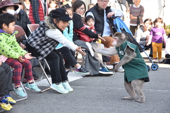 おしぼりを運ぶ猿の写真