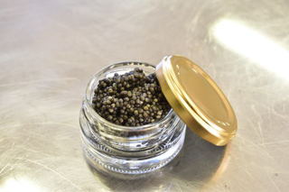 キャビアの写真