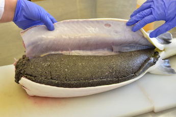 チョウザメに詰まった卵の写真