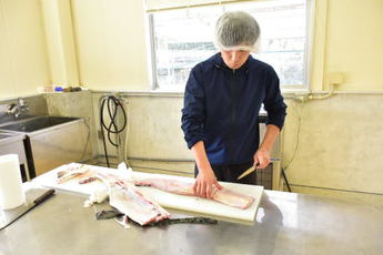 チョウザメをさばいている写真