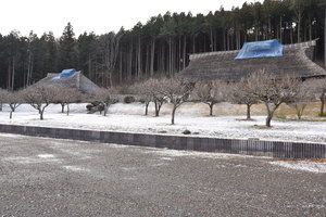 薄く雪が積もったふるさとの森公園の写真