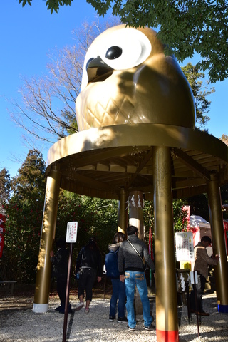 大ふくろうの写真