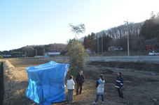 白久地区のどんど焼きの写真