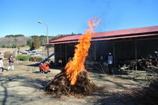 芳井地区のどんど焼きの写真