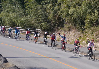 サイクリングをする人々の写真