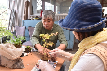 苔玉作り体験の写真