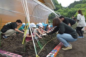 苗植えをする園児たちの写真