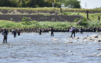 那珂川であゆを釣る人々の写真1