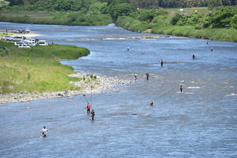 那珂川であゆを釣る人々の写真2