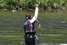 鮎が連れた瞬間の写真