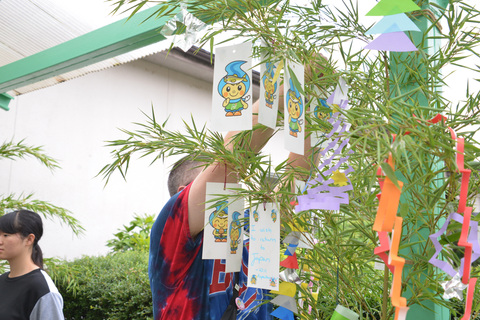 笹に短冊をつるす男の子の写真