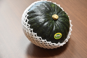 みなみちゃん南瓜の写真