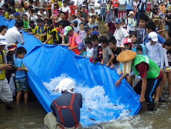 魚の放流の様子の写真1