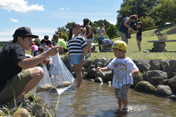 マスのつかみ取りをしている親子の写真