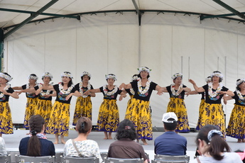 フラダンスの写真