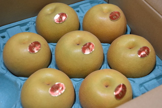 なし部会が持ってきた豊水の写真