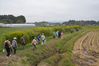 縄文フットパスの写真