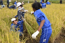 協力して作業する児童たちの写真