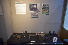 仕掛けや火縄銃の写真