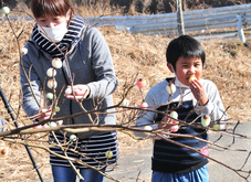 繭玉だんごを食べる子どもの写真