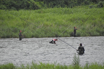 鮎釣り大会参加者が4人釣りをしている写真