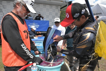 鮎釣り大会、検量の写真