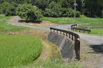 白色から茶色へペンキの塗り替えを行ったガードレールの写真