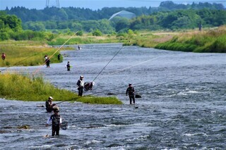 アユ釣りをする人々の写真1