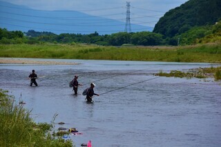 アユ釣りをする人々の写真2