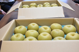 箱詰めされた幸水の写真 箱詰めされた幸水の写真