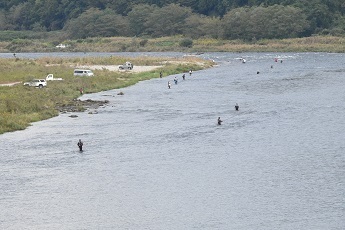 那珂川でアユ釣りをする選手たちの写真