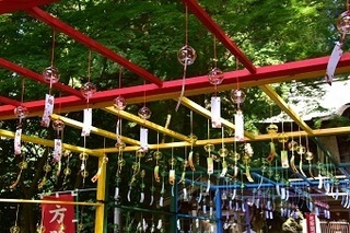 色とりどりの風鈴が頭上に並んでいる写真