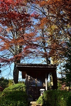長泉寺の紅葉の写真