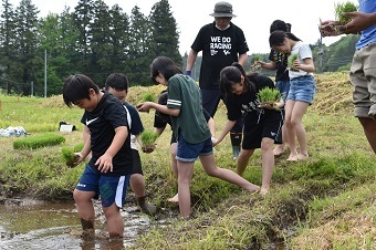 田んぼの中に入っていく小学生たちの写真