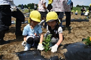 2人で1つの苗を植える園児の写真