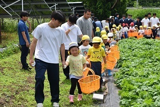 高校生と子どもたちが手をつなぎ、列を作って農場へ向かう写真