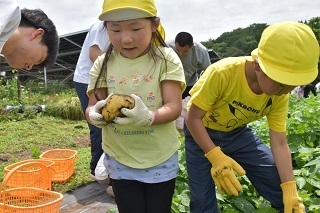 大きなジャガイモを持つ園児の写真