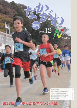 広報なかがわ平成30年12月号表紙