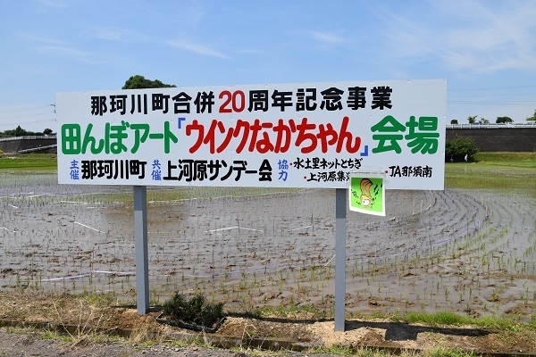 田んぼアートの写真1