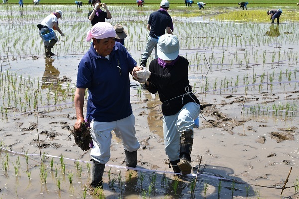 ぬかるみに足を取られないように、慎重にの写真