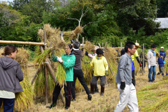 棚田オーナークラブ稲刈りの写真3