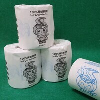 なかちゃんトイレットペーパーの写真