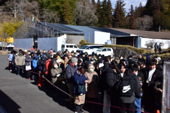 市神祭への大勢の人の列の写真