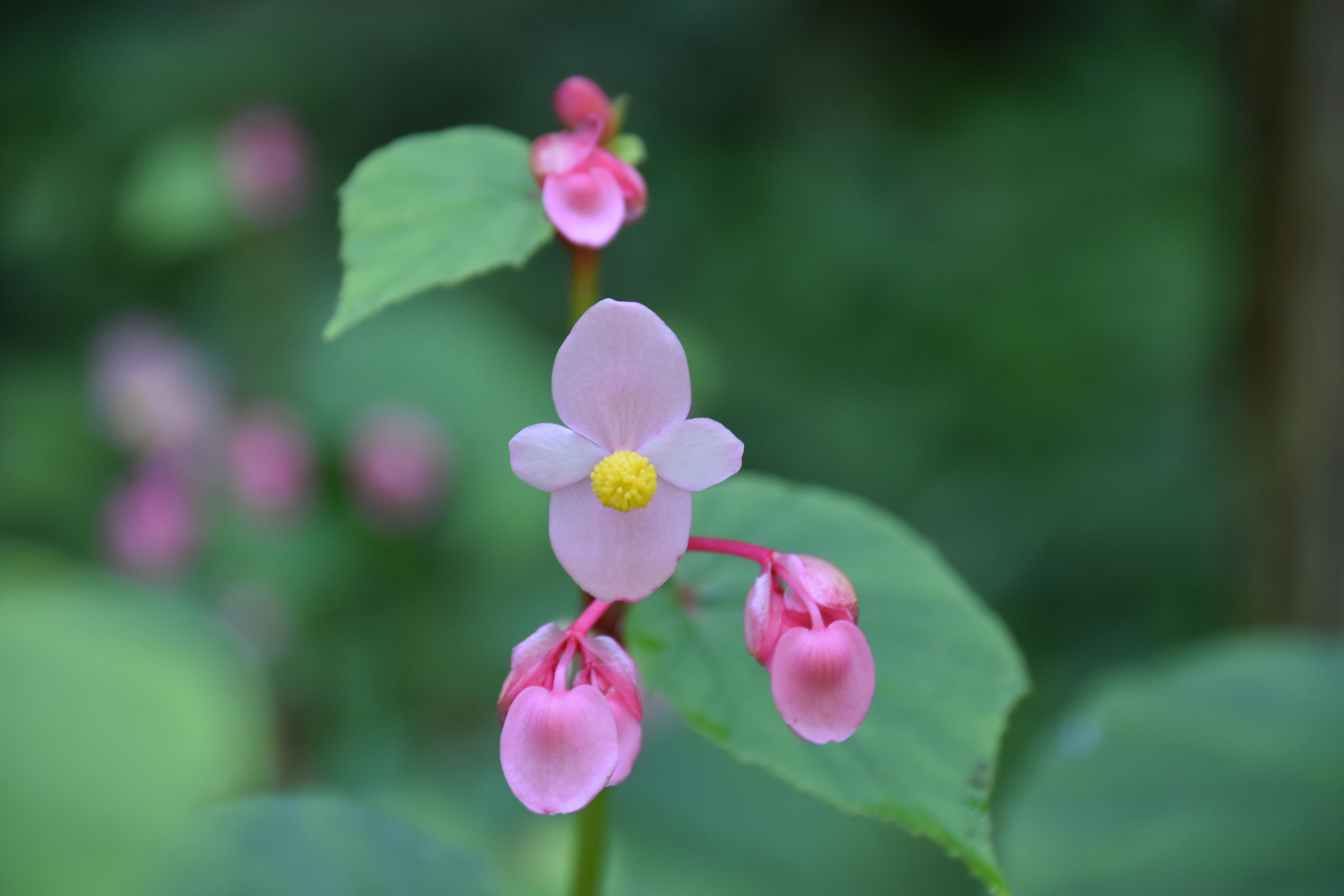 DSC_0063.JPG