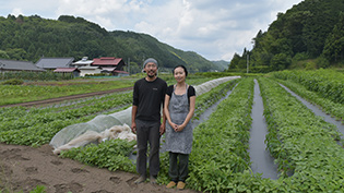 しごとの情報イメージ画像
