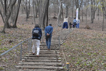 来訪者が、公園内の階段を上っている様子